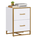 2 Drawer File Cabinet with Gold Frame Filing Cabinet for Letter Size Printer Stand
