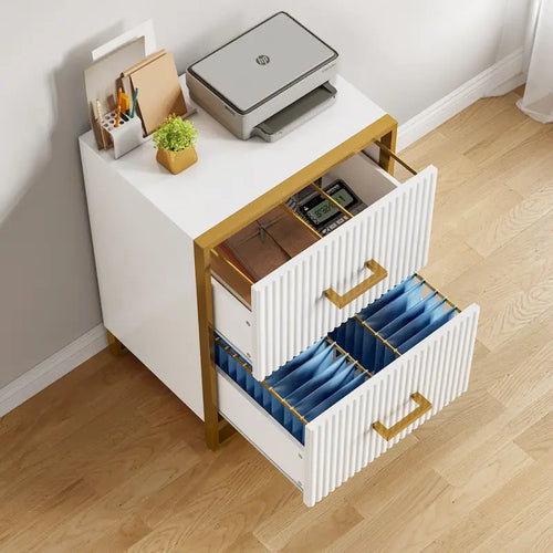 2 Drawer File Cabinet with Gold Frame Filing Cabinet for Letter Size Printer Stand