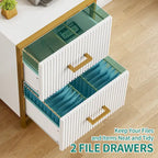 2 Drawer File Cabinet with Gold Frame Filing Cabinet for Letter Size Printer Stand