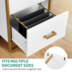 2 Drawer File Cabinet with Gold Frame Filing Cabinet for Letter Size Printer Stand