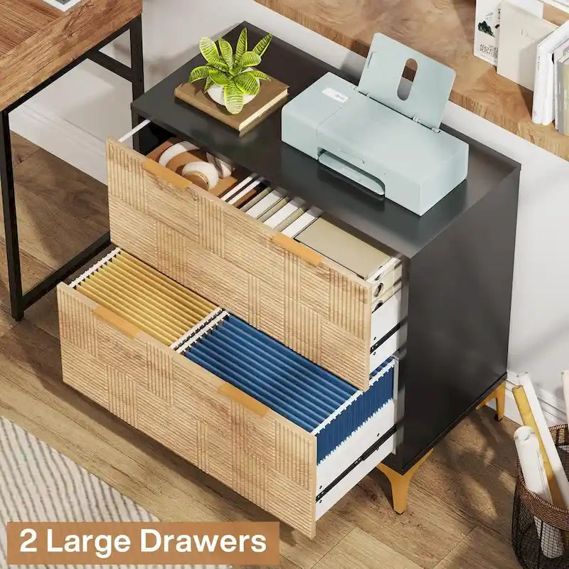 File Cabinet with 2 Drawers, Lateral Filing Cabinet with Adjustable Hanging Bar